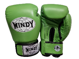 WINDY ウィンディ　キック ボクシンググローブ  明るい緑 Light green