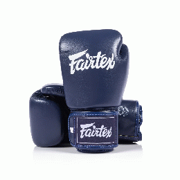 フェアテックス ボクシンググローブ Fairtex BGV1C-PLUS Boxing Gloves ブルー