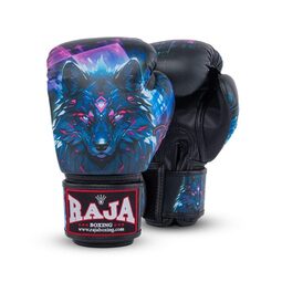 RAJA ラジャ キックボクシンググローブ RFBGV-141 Raja Urban Predator Gloves