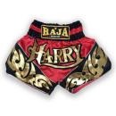 RAJA ラジャ キックパンツ ムエタイ パンツ ショーツ RMTS-A25 Original Muaythai Shorts